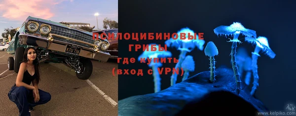 СК Алексин