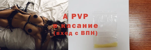 СК Алексин