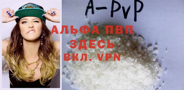 СК Алексин