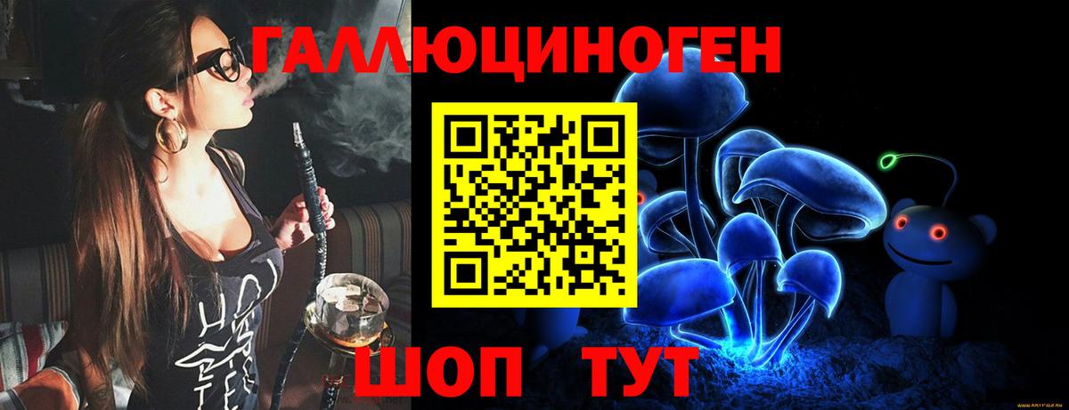 Галлюциногенные грибы Psilocybine cubensis Балашов